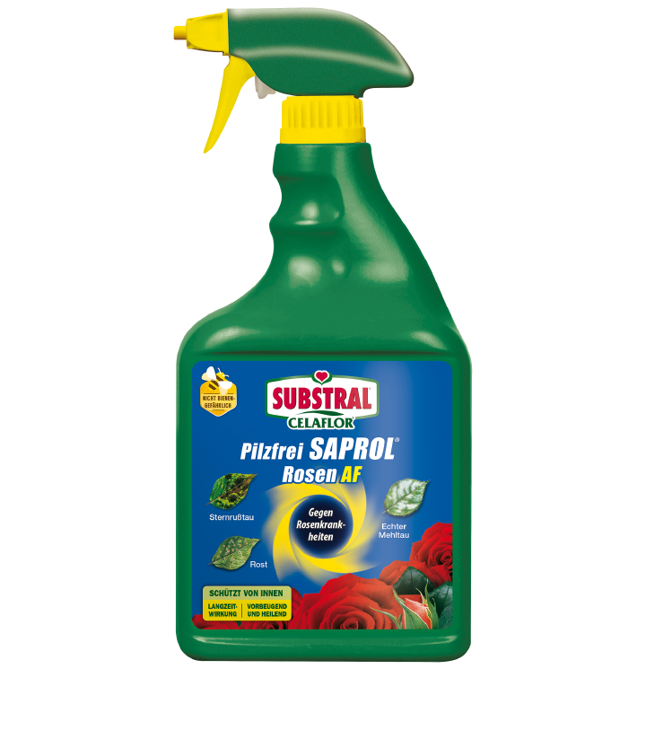 SUBSTRAL Celaflor Pilzfrei Saprol Rosen AF